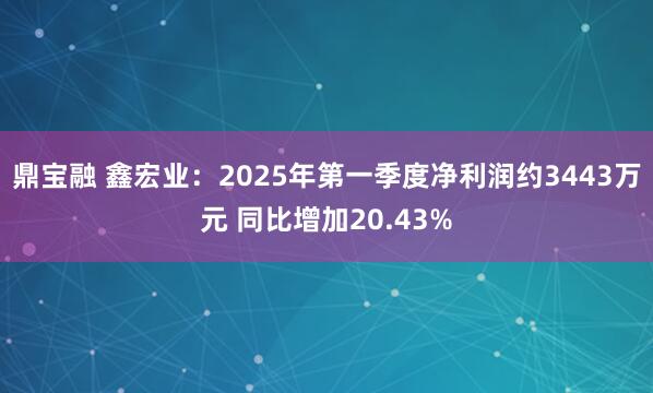 鼎宝融 鑫宏业：2025年第一季度净利润约3443万元 同比增加20.43%