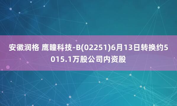 安徽润格 鹰瞳科技-B(02251)6月13日转换约5015.1万股公司内资股
