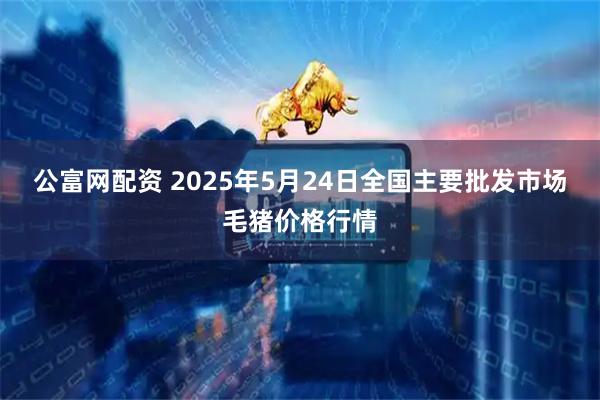 公富网配资 2025年5月24日全国主要批发市场毛猪价格行情