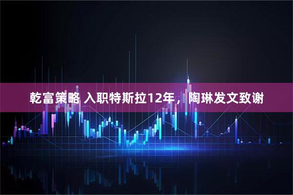乾富策略 入职特斯拉12年，陶琳发文致谢