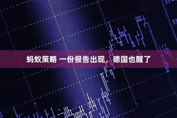 蚂蚁策略 一份报告出现，德国也醒了
