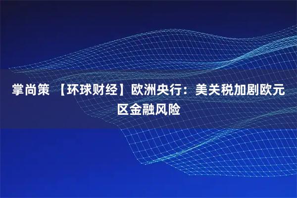 掌尚策 【环球财经】欧洲央行:美关税加剧欧元区金融风险